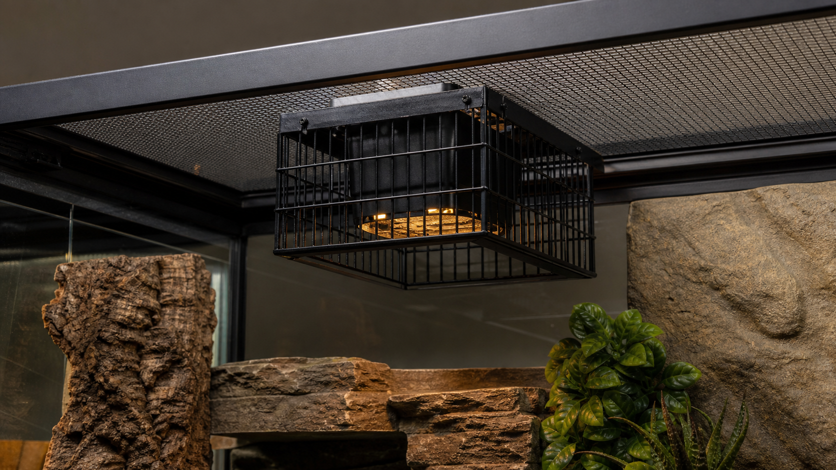 Temperature Gradients for Pet Reptiles 4 Safe screened heat source in a reptile enclosure.