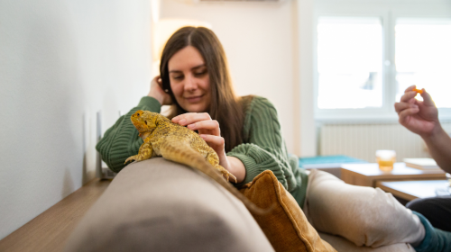 Woman petting her pet yellow lizard